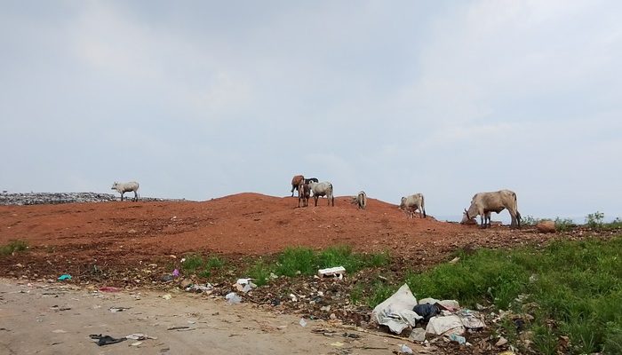 TPA Cikolotok Purwakarta