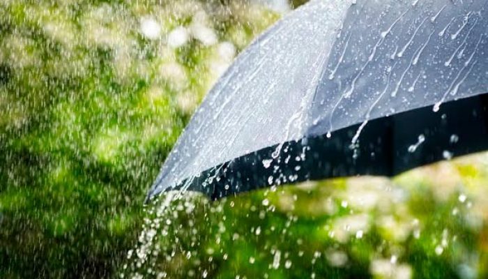 Cuaca Purwakarta Hari Ini: Hujan Merata di 17 Kecamatan, Waspada Petir dan Angin Kencang