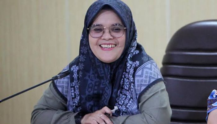 Anggota Bawaslu RI Lolly Suhenty Sikapi Putusan MK No 104