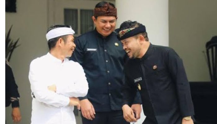 Kinerja Kerap Dibenturkan dengan Bupati Purwakarta Om Zein, Abang Ijo: Tugas Wabup Gimana Bupati