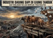 Industri Daging Sapi di Ujung Tanduk: Saat Kebijakan Tak Lagi Berpijak pada Realitas