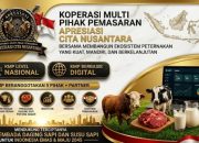 Membangun Kemandirian Pangan: KMP Apresiasi Cita Nusantara Siap Wujudkan Swasembada Daging dan Susu 2045